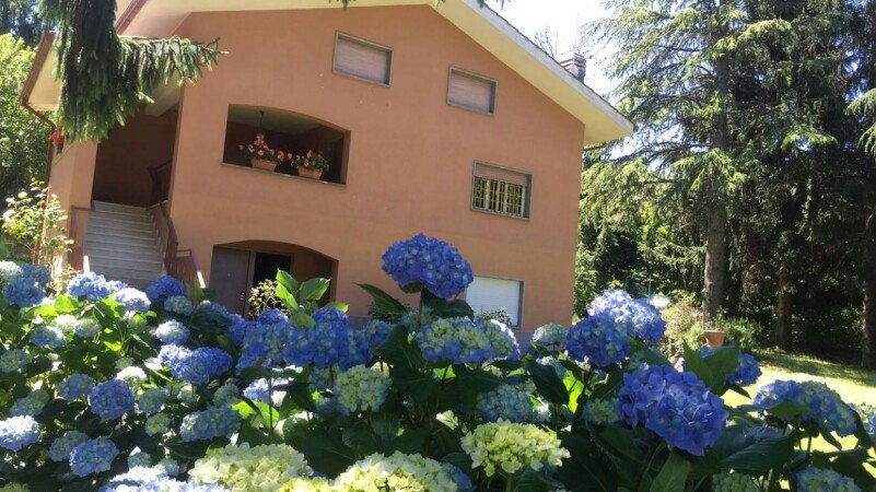 Camera 1 ospite, con wifi