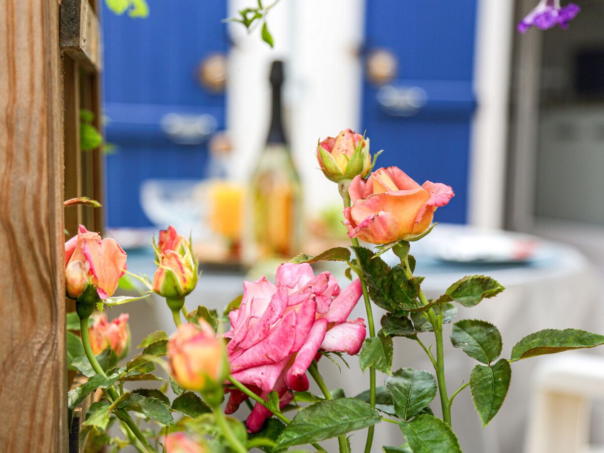 Maison de campagne 1 chambre, avec jardin