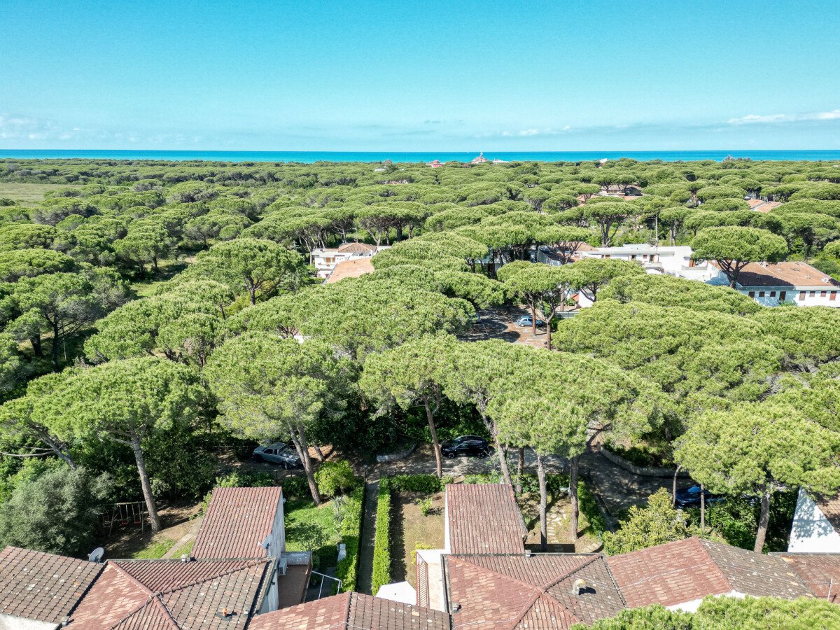 Casa 2 camere, con giardino