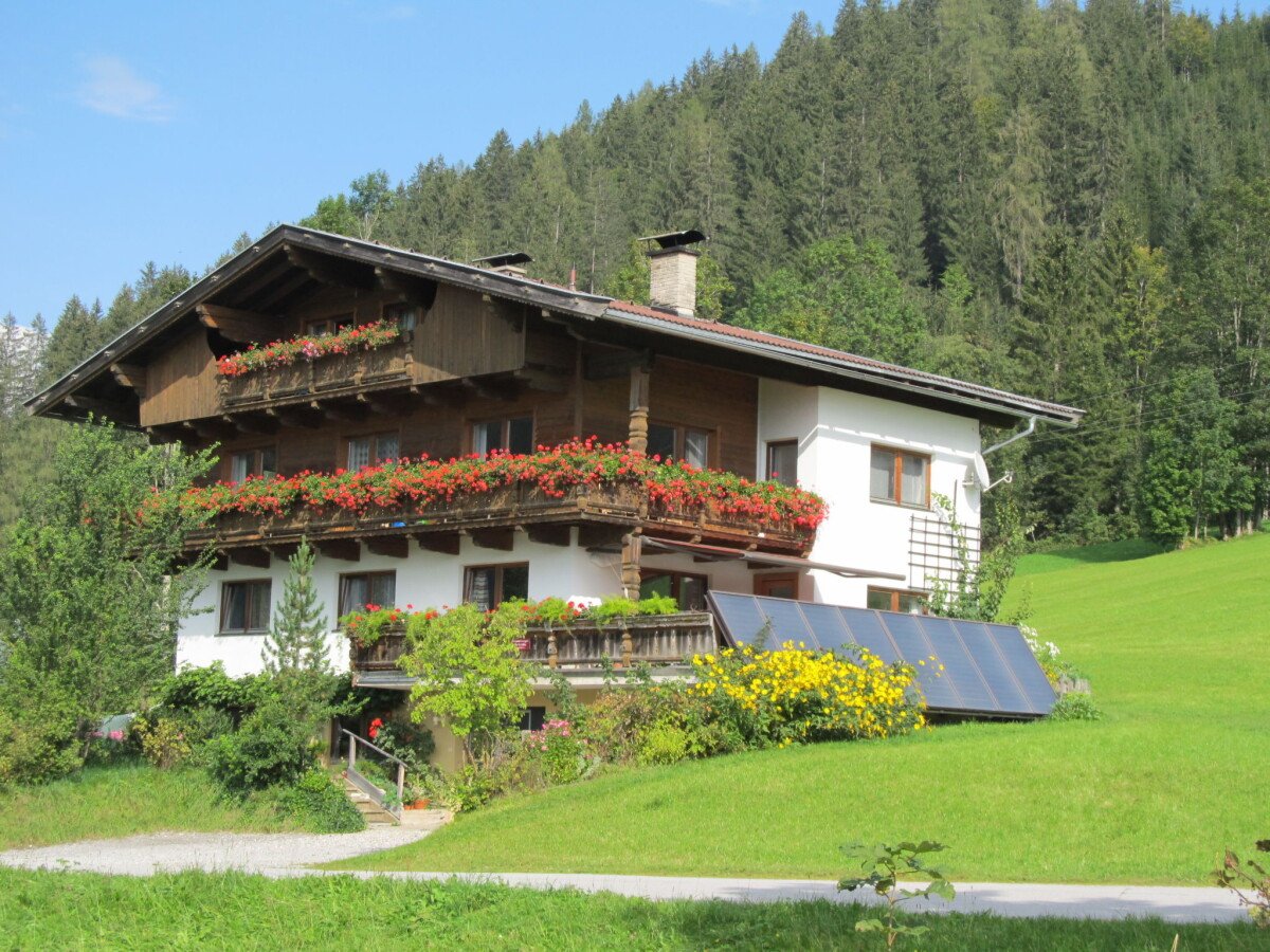 Wohnung 1 Schlafzimmer, mit Garten