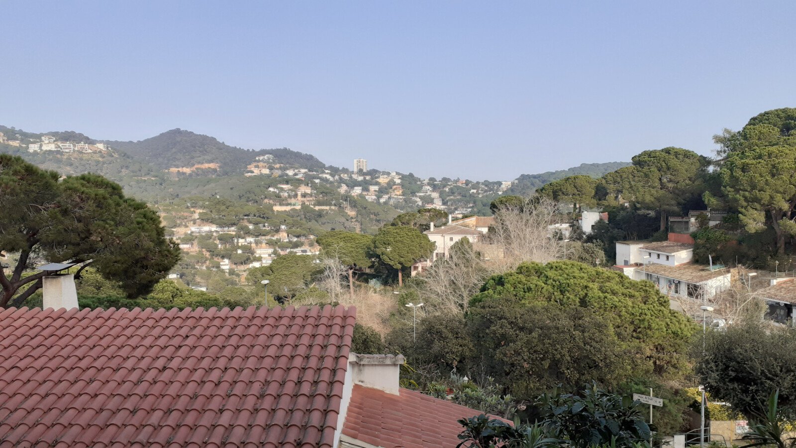 Appartamento 1 camera, con giardino