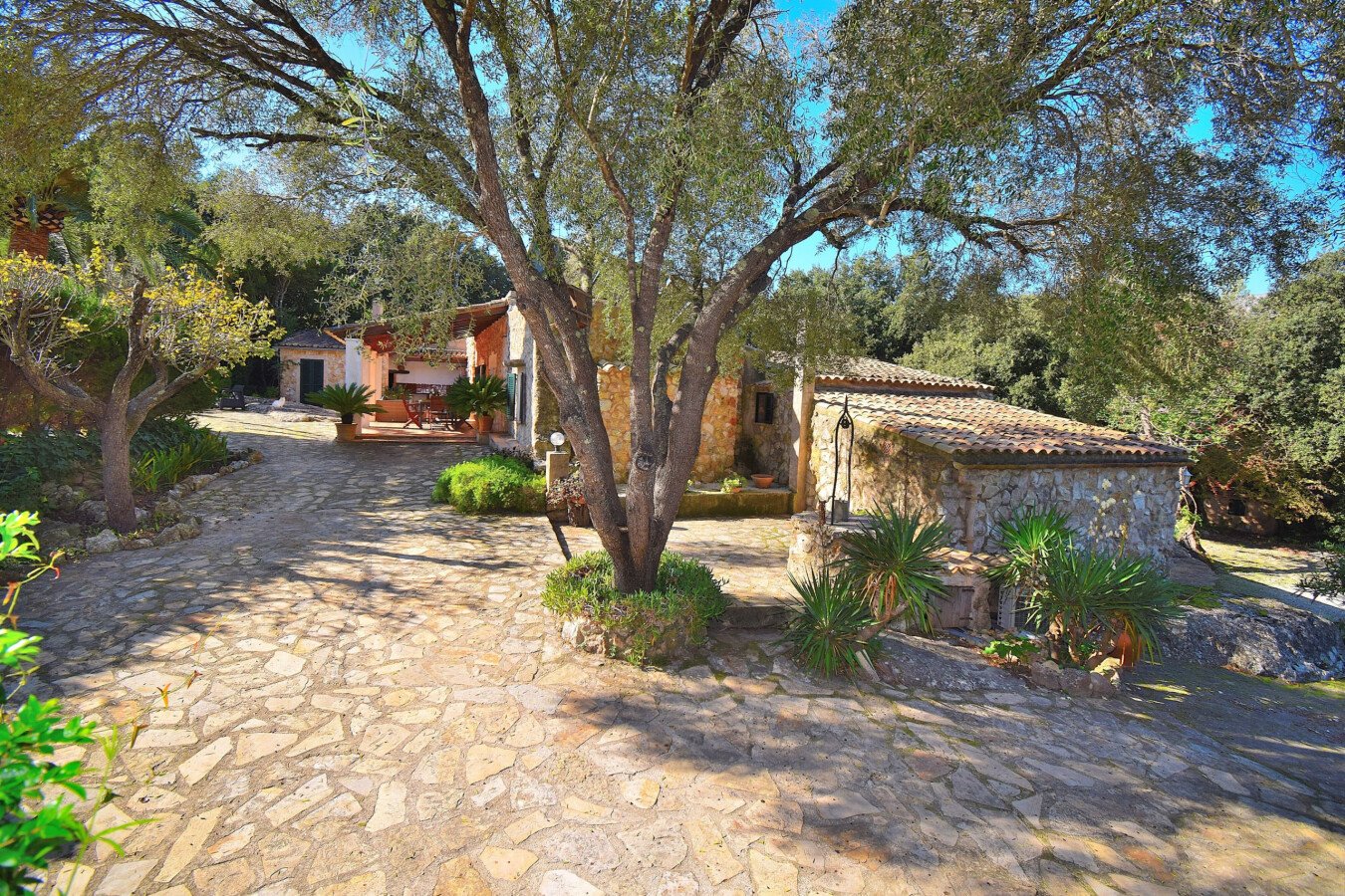 Castillo 5 habitaciones, con jardín