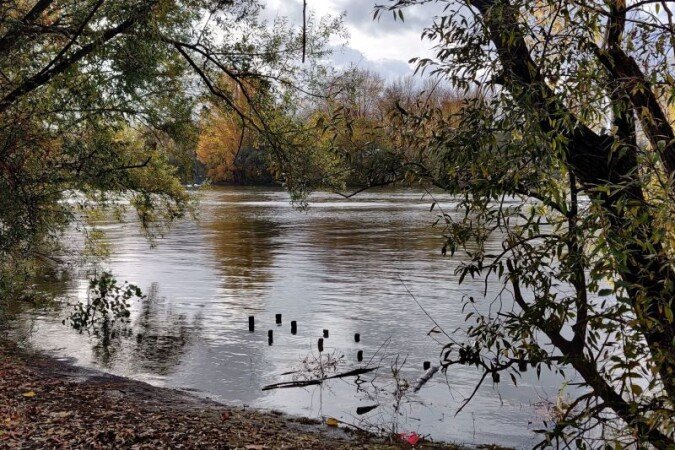 Appartement 1 chambre, avec jardin
