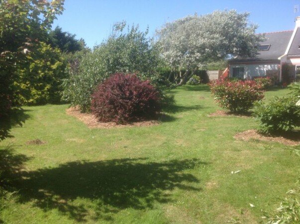 Alloggio 1 camera, con giardino