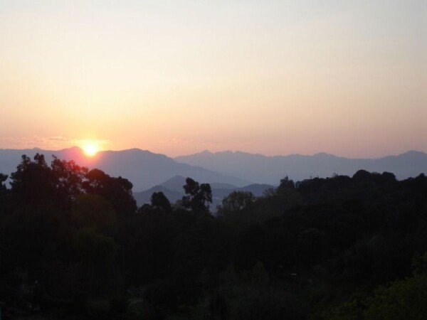 Apartamento 1 habitación, con jardín