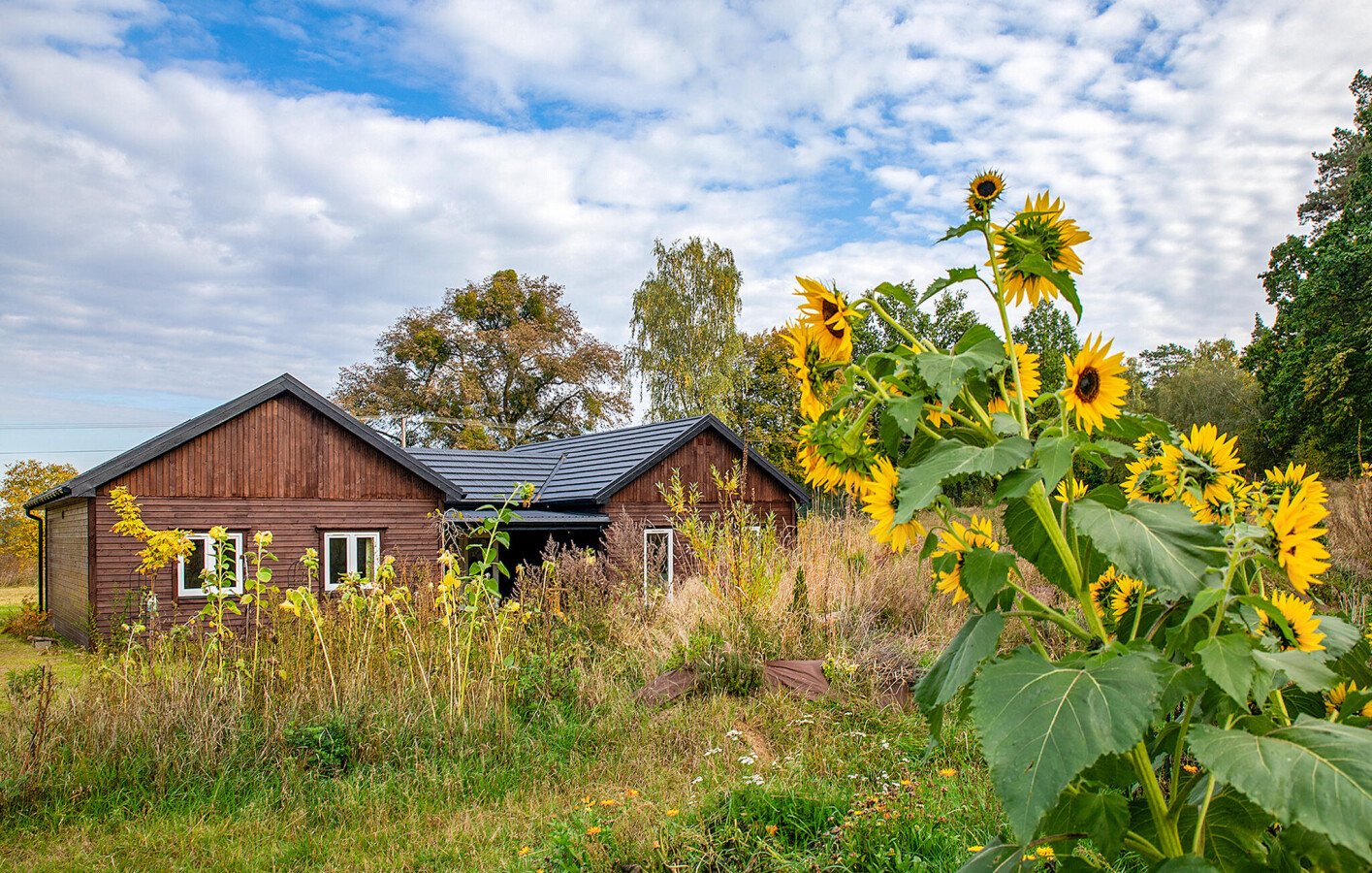Appartamento 1 camera, con wifi