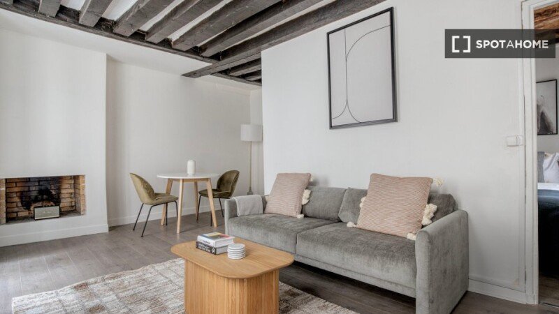 Apartment 1 bedroom, with wifi