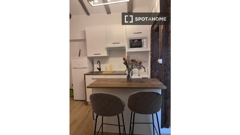 Apartment with air conditioning
