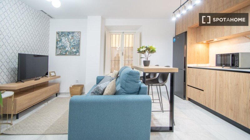 Apartment 1 bedroom, with air conditioning