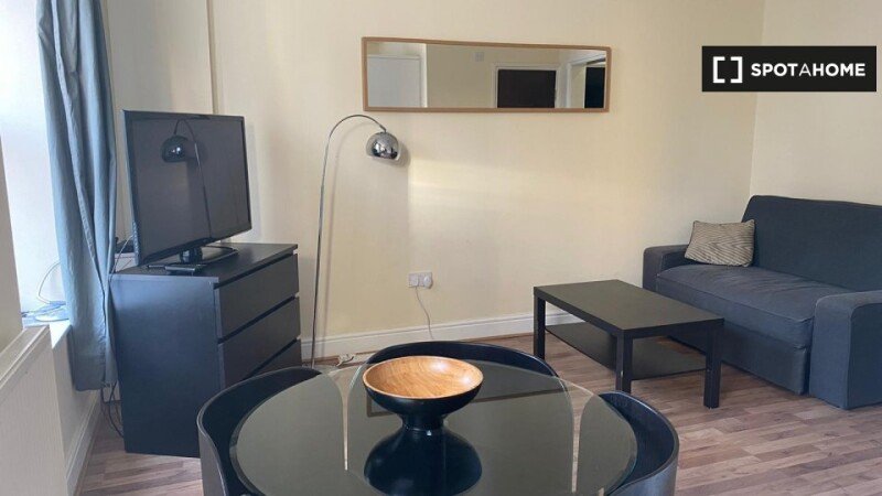 Apartment 1 bedroom, with wifi