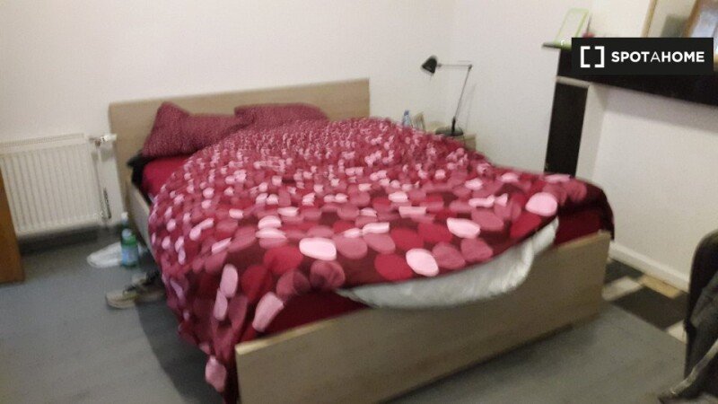 Room 8 guests, with wifi