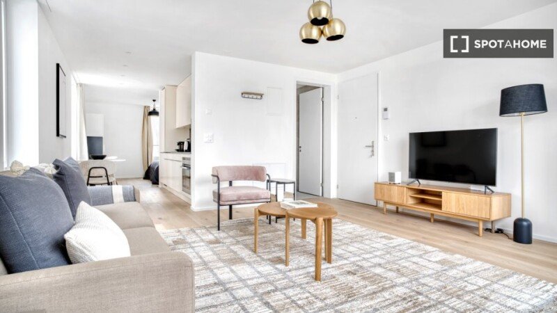Apartment 1 bedroom, with air conditioning