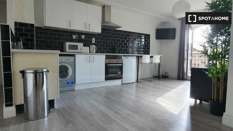 Apartment 1 bedroom, with air conditioning
