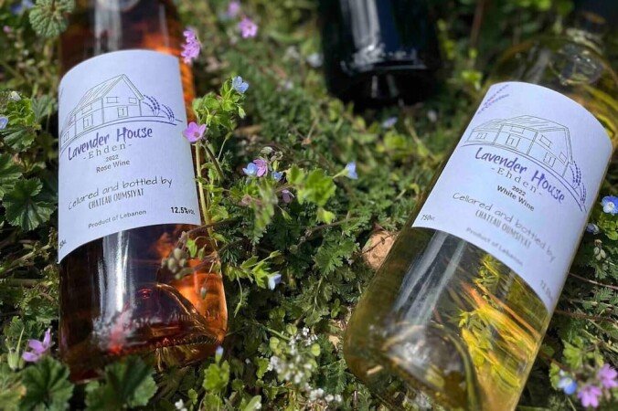 Chalet 3 bedrooms, with pool