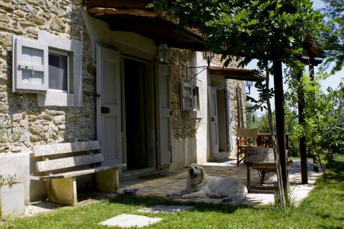 Casa 2 camere, con piscina