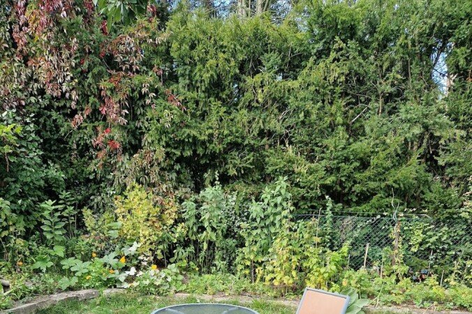 Wohnung 1 Schlafzimmer, mit Garten