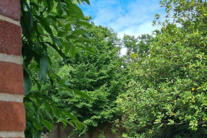 Maison de campagne 2 chambres, avec piscine