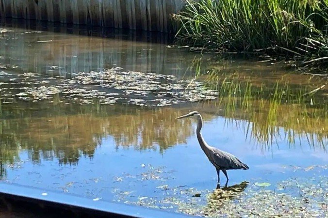 Villa 3 bedrooms, with pool