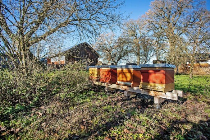 Wohnung 1 Schlafzimmer, mit Garten