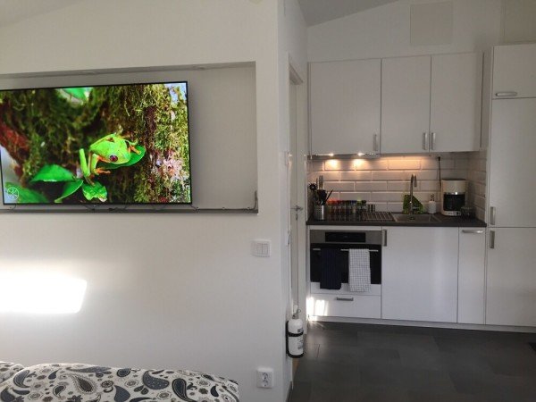 Apartment 1 bedroom, with garden