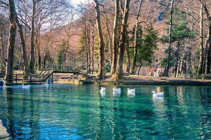 Bed and breakfast 1 camera, con giardino