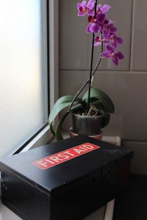 Studio design, 2 voyageurs, avec salle de sport