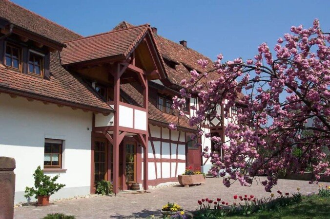 Wohnung 1 Schlafzimmer, mit Garten