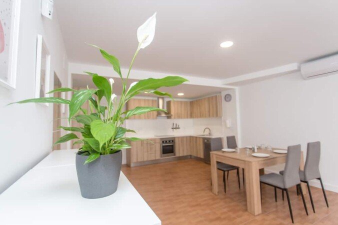 Casa 1 habitación, con jacuzzi