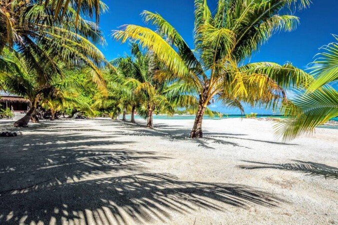 Maison 1 chambre, avec jardin