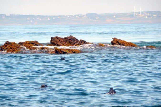 Maison 6 chambres, avec jardin