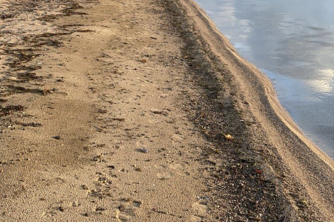 Chalet 2 chambres, avec jardin