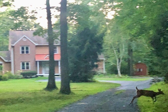 House 3 bedrooms, with jacuzzi