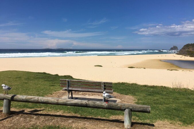 House 3 bedrooms, with garden