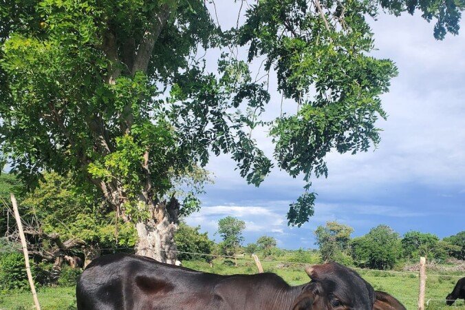 Apartamento 2 habitaciones, con piscina