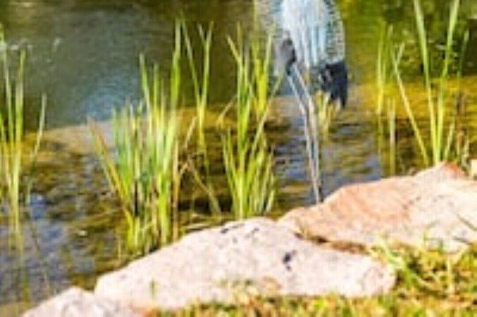 Maison chic, 6 chambres, avec piscine