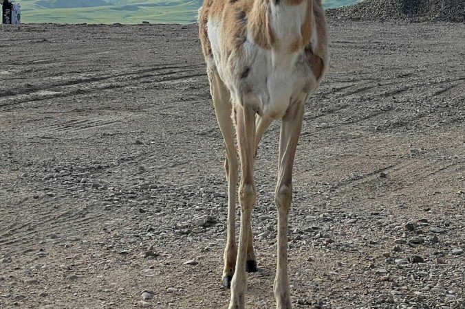 House 3 bedrooms, with fireplace