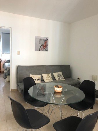 Apartamento 1 habitación, con jardín