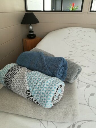 Appartement 1 slaapkamer, met wifi