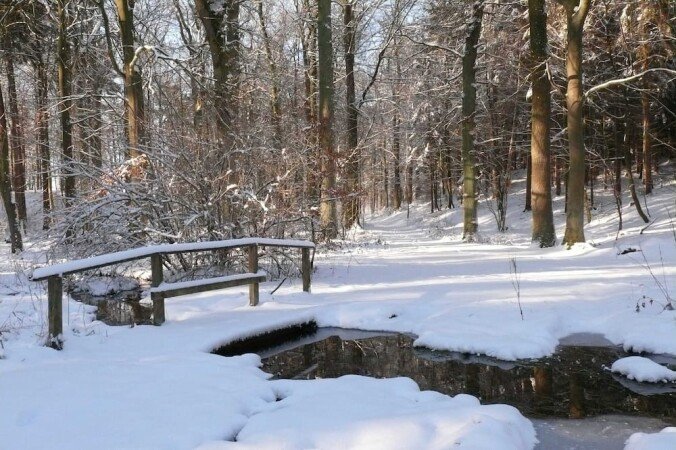 Wohnung 1 Schlafzimmer, mit WLAN