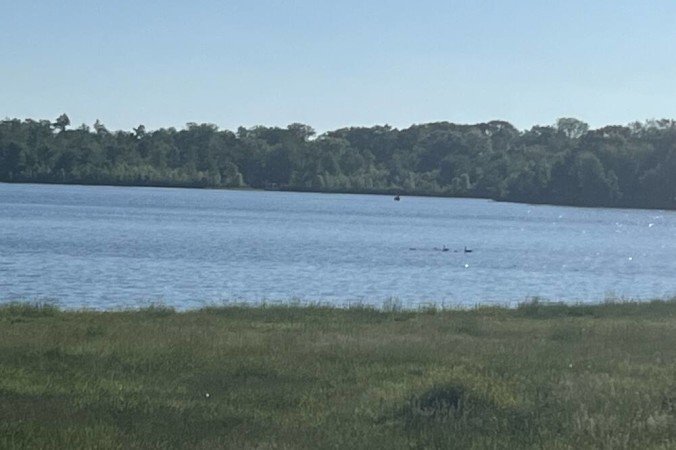 House 3 bedrooms, with garden