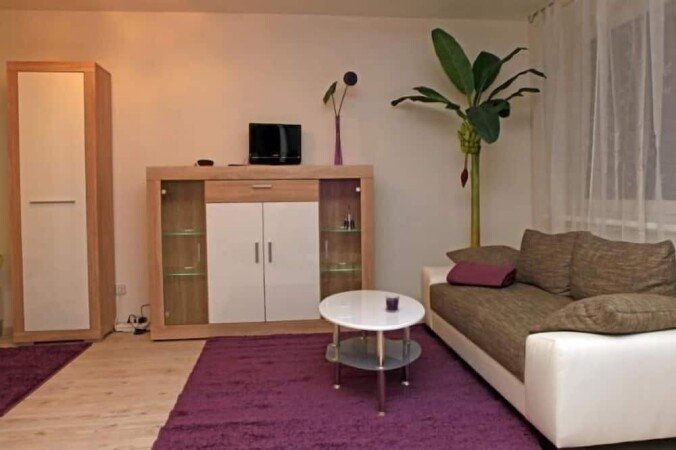 Wohnung 1 Schlafzimmer, mit WLAN