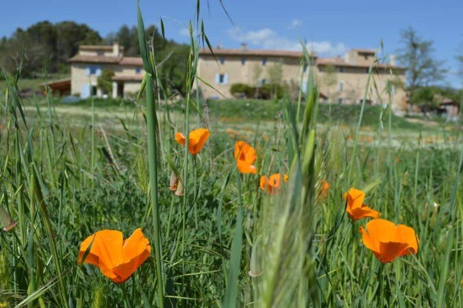 Mazet Agriturismo, 1 chambre, avec piscine