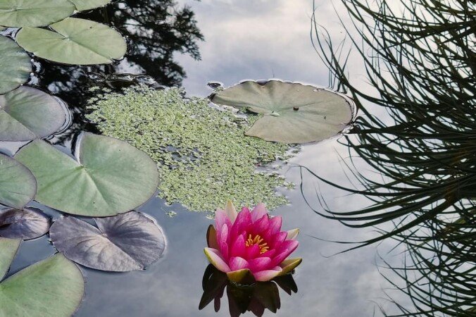 Wohnung 1 Schlafzimmer, mit Fitnessstudio