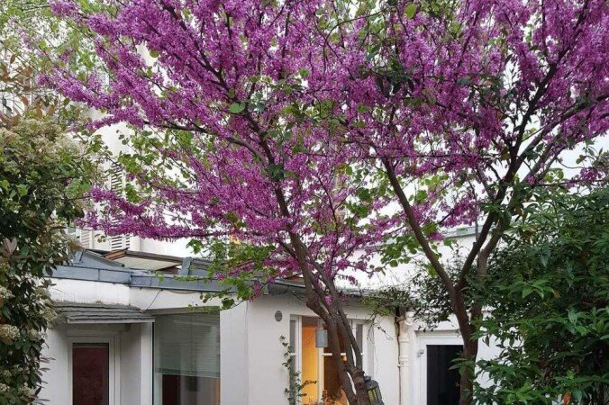 Appartement 1 slaapkamer, met tuin