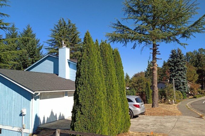Bed and breakfast 4 bedrooms, with pool