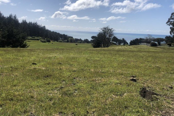 House 3 bedrooms, with garden