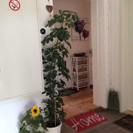 Wohnung 1 Schlafzimmer, mit Whirlpool