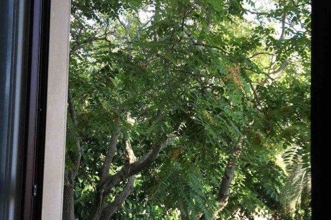 Appartamento 2 camere, con aria condizionata