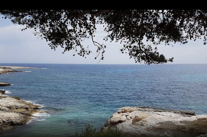 T2 1 chambre, avec climatisation