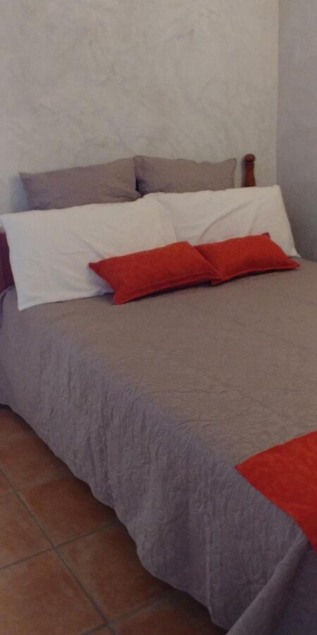 Appartement authentique, 1 chambre, avec jardin